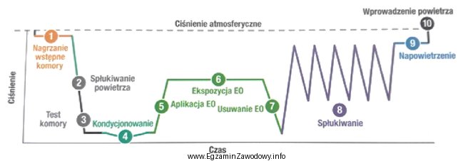 Ilustracja przedstawia zapis kontroli parametrycznej procesu sterylizacji