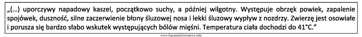 Zaraźliwa wirusowa choroba górnych dróg oddechowych koni z 