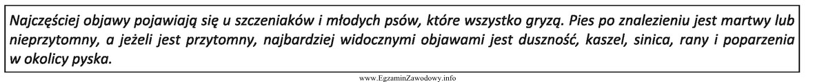 Opisane objawy zagrażające życiu zwierzęcia towarzyszą