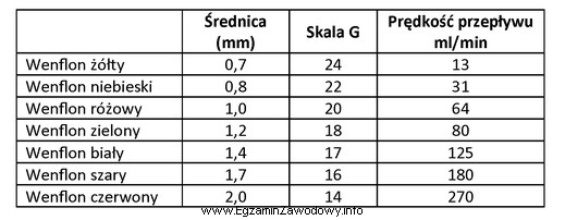 Lekarz weterynarii chce dokonać wlewu dożylnego u psa. Wenflon 