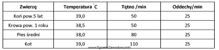 Na podstawie zamieszczonych wyników badania CTO wskaż, które 