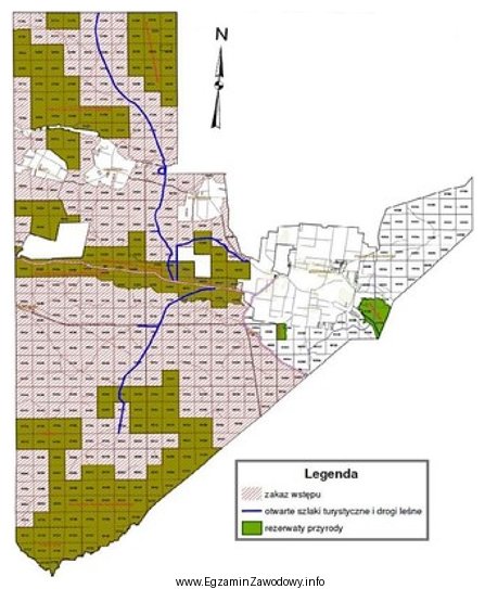 Na przedstawionej mapie leśnej kolorem zielonym oznaczono