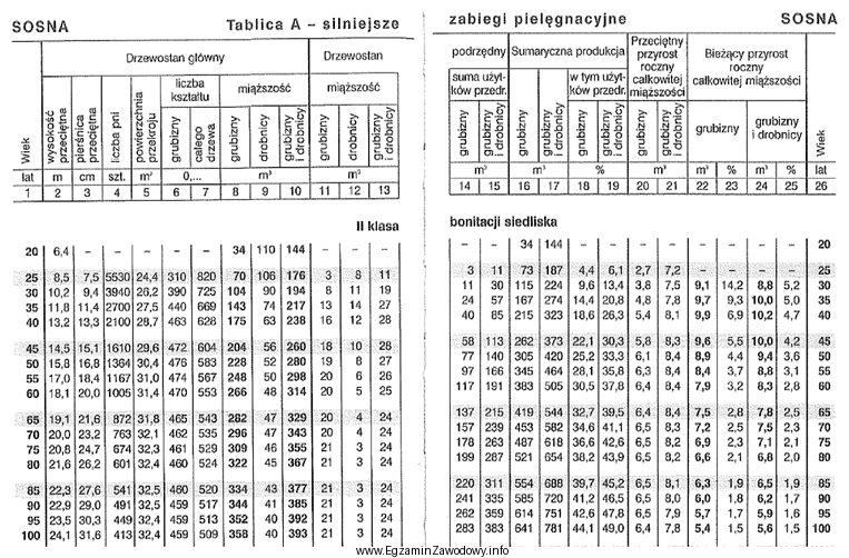 Na podstawie tablic Schwappacha liczba pni w ostatnim 10 leciu, wykazanym 