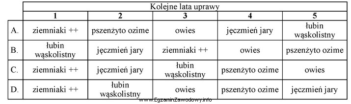 Wskaż prawidłowe zmianowanie roślin na glebach lekkich.