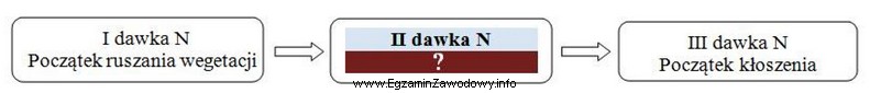 Uzupełnij termin zastosowania drugiej dawki nawozów azotowych w 