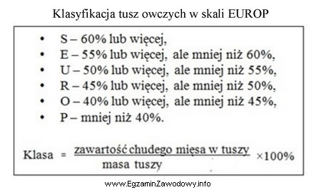 Zgodnie z przedstawioną klasyfikacją, jeżeli tusza maciorki waży 62,5 