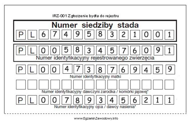 Wskaż numer identyfikacyjny rejestrowanego cielęcia na przedstawionym dokumencie 