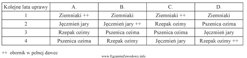 Wskaż właściwe zmianowanie na glebach średnich