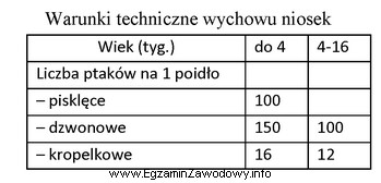 Ile poideł dzwonowych należy umieścić w kurniku dla 9 000 