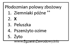 W przedstawionym płodozmianie zbożowym (udział zbóż w 