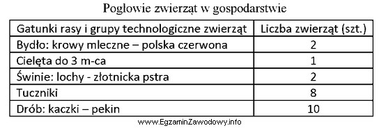 Które produkty pochodzenia zwierzęcego mogą być przeznaczone do 