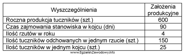 Ile kojców potrzeba do odchowu jednego rzutu tuczników 