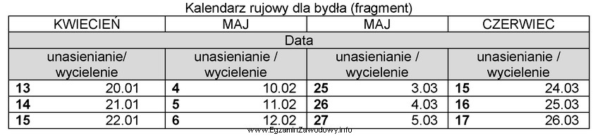 Zgodnie z tabelą, krowa unasieniona 6 maja bieżącego roku, 