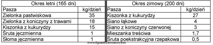 Ile kiszonki z kukurydzy potrzeba rocznie dla stada 20 krów 