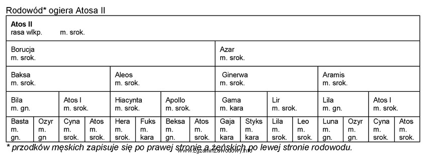 Na przykładzie rodowodu ogiera Atosa II określ metodę 