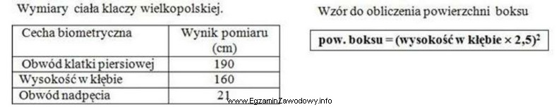 Klaczy ze źrebięciem, której wymiary podano w tabeli, 