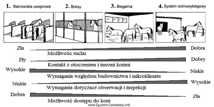 Który, z przedstawionych sposobów utrzymania koni w pomieszczeniach, 