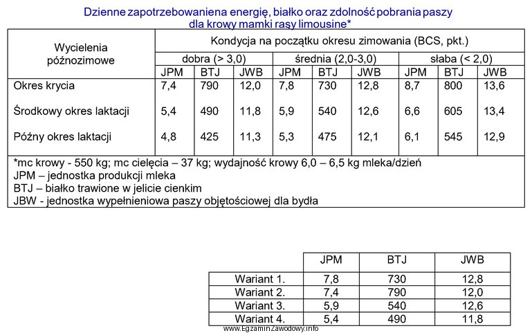 Ustal zapotrzebowanie na składniki pokarmowe dla krowy mamki rasy 