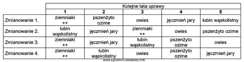 Wskaż prawidłowe zmianowanie roślin na glebach lekkich.