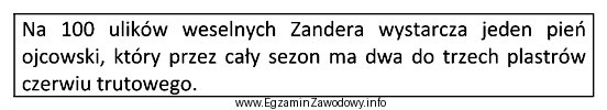 Ile ulików weselnych trapezoidalnych należy wystawić na trutowisku, 