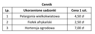 Oblicz wartość sprzedaży 10 szt. sadzonek pelargonii wielkokwiatowej, 20 szt. 