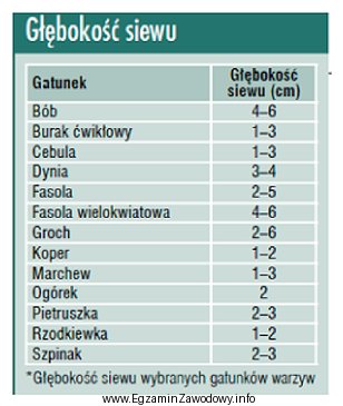 Najgłębiej na glebach lekkich należy wysiewać nasiona