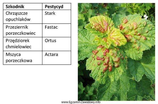 Dobierz z tabeli pestycyd, do zwalczania szkodników porzeczek wywoł