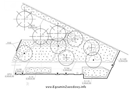 De drzew liściastych istniejących, zgodnie z normą PN-B-01027, 