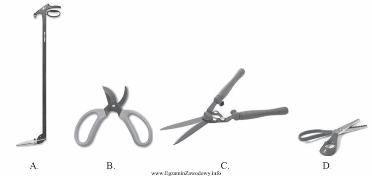 Które narzędzie przeznaczone jest do przycinania trawy w 