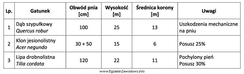 Zgodnie z danymi zawartymi w tabeli inwentaryzacyjnej klon jesionolistny