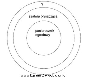 Do obsadzenia obwódki rabaty zaznaczonej na schemacie znakiem ? moż