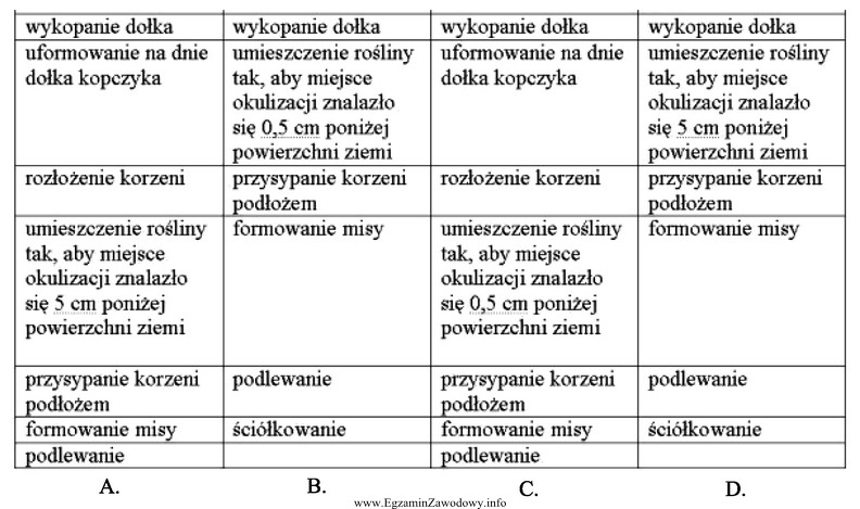 Wskaż właściwą kolejność czynności związanych 