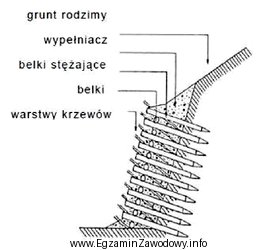 Jaki rodzaj ubezpieczenia skarp jest przedstawiony na rysunku?