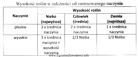 Układając ikebanę w wazonie o średnicy 5 cm 