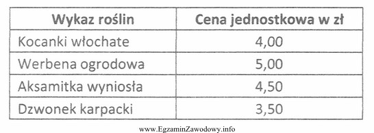 Do obsadzenia pojemnika zakupiono 5 sztuk gatunku kwitnącego na czerwono. 