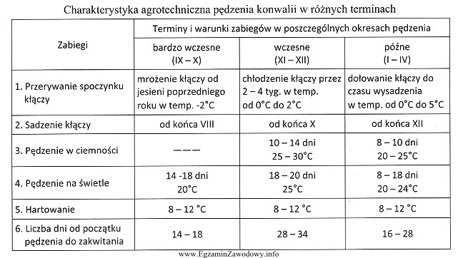 Korzystając z danych zamieszczonych w tabeli wskaż, kiedy przerywa 