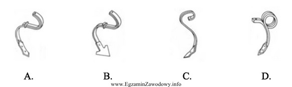 Który rysunek przedstawia ząb kultywatora z gęsiostopkami?