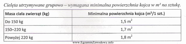 Kojec grupowy o wymiarach 3 m x 5 m, w którym 