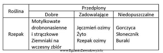 Która roślina jest najlepszym przedplonem w uprawie rzepaku?