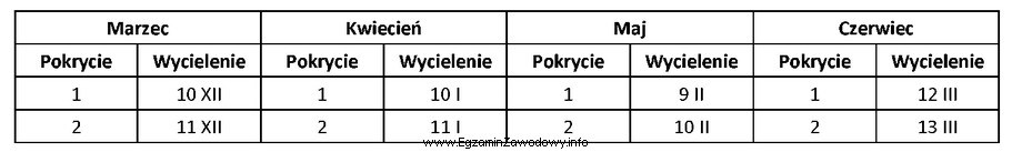 Na podstawie przedstawionego fragmentu kalendarza pokryć i wycieleń, ustal optymalny 