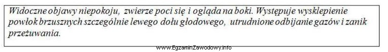 Opisane zachowanie oraz wygląd krowy wskazują na wystąpienie