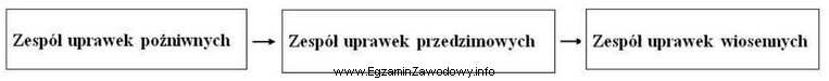 Przedstawiona kolejność następujących po sobie zespołó