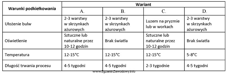 Który wariant zapewnia optymalne warunki podkiełkowania sadzeniaków?