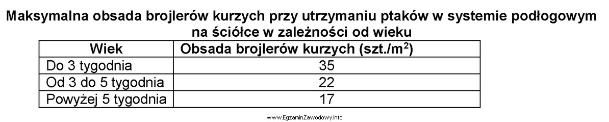 Oblicz maksymalną liczbę brojlerów kurzych w wieku 6 tygodni, zapewniają