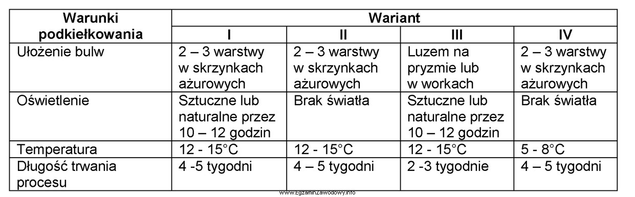 Który wariant zapewnia optymalne warunki podkiełkowania sadzeniaków?