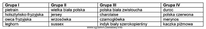 Mięsny kierunek użytkowania reprezentują rasy zwierząt gospodarskich 