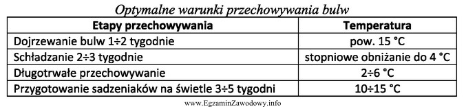 Podkiełkowywanie ziemniaków powinno przeprowadzać się w zakresie temperatur