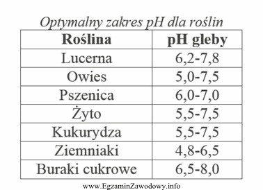 Na glebach kompleksu żytniego słabego można uprawiać