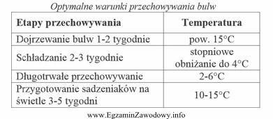 Podkiełkowywanie ziemniaków powinno przeprowadzać się w zakresie temperatur