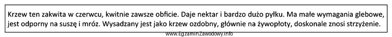 Którego krzewu miododajnego, poprawiającego bazę pożytkową, dotyczy 